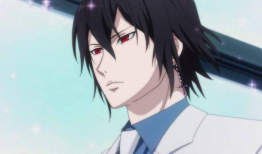 大贵族动漫,权谋与荣耀的华丽篇章